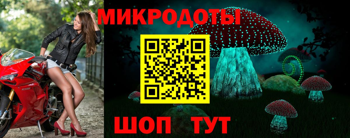 Галлюциногенные грибы Psilocybe Гусь-Хрустальный